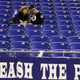 Illustration for article titled Why Your Team Sucks 2012: Baltimore Ravens